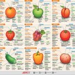 Визначення сухих речовин в овочах і фруктах
